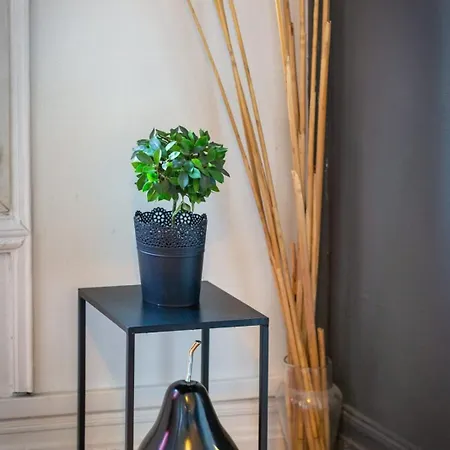 Le French Kiss F2 Rénové Hyper-centre De Appartamento