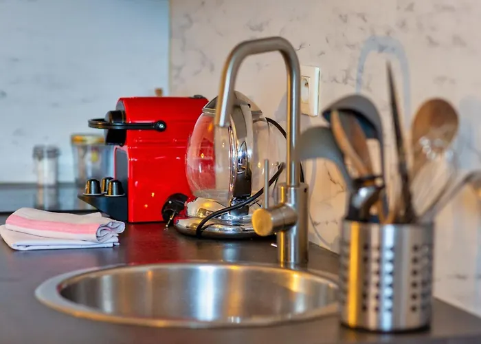 Le French Kiss F2 Renove Hyper-centre De *