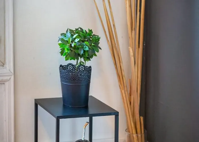 Le French Kiss F2 Renove Hyper-centre De Apartment